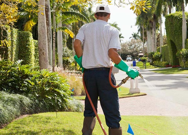About Rush City MN Pest Control